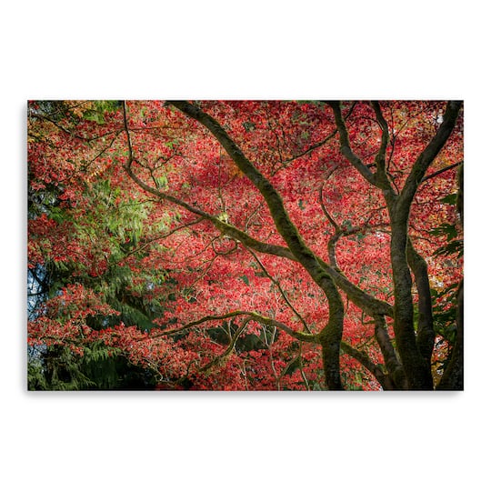 Autumn Beauty Canvas Giclee